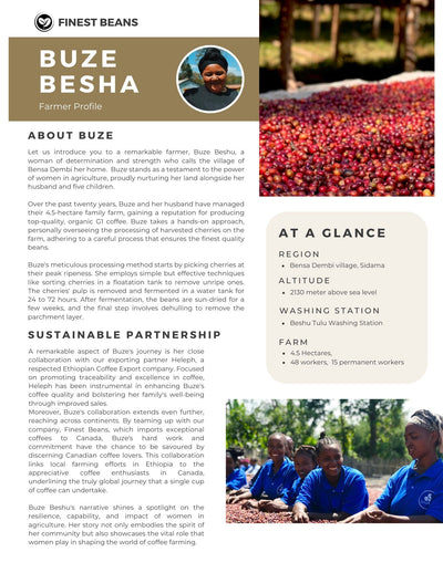 Buze Besha - Farmer Direct Lot - Sidama Bensa Dembi - Washed G1 Ethiopian Specialty Coffee
